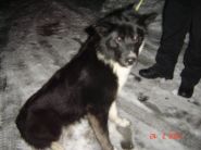 Nalezenec dne 24.02.2009 - zv&ecaron;tšit