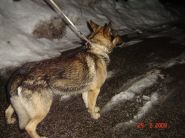 Nalezenec dne 25.02.2009 - zv&ecaron;tšit