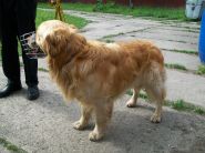 Nalezenec Rychvald dne 22.05.2009 - zv&ecaron;tšit